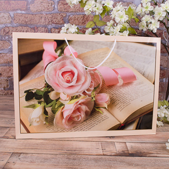 W7 -07 пакет 35*50*15 "книга"  