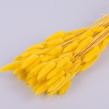лагурус 70грамм  (цвет - Gelb)