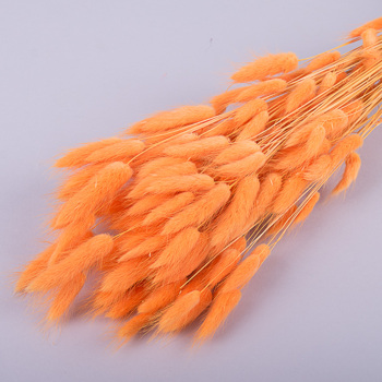 лагурус 70грамм  (цвет apricot)