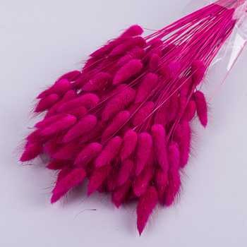 лагурус 70грамм (цвет - Fuxia)