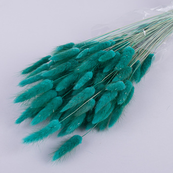 лагурус 70грамм (цвет Tiffany)