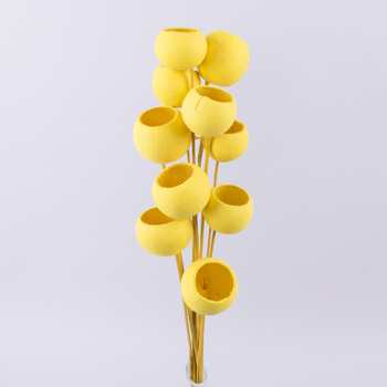 сухоцвет "bell cup" желтый