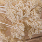 Сухоцвет "achillea" натуральный