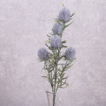 осот