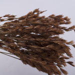Сухоцвет "thathing reed"