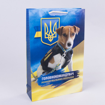 пакет подарочный  25*38*8 "патрон"