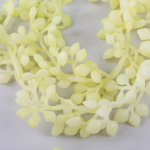 Трава свисающая "христовник"кремовый