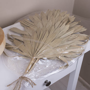 сухоцвет palm leaf (10шт)