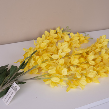 Гліцинія звисаюча жовта pure yellow