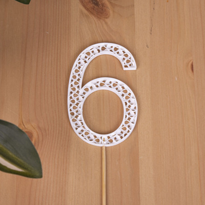 цифра біла №6