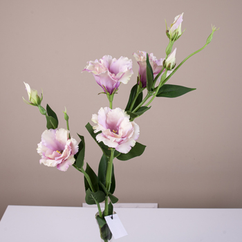 искусственная эустома премиум бело-розовая (powder pink green)