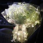 Пленка для цветов с подсветкой 60*60см