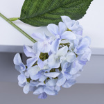 гортензия короткая голубая - powder violet