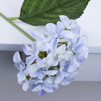 гортензия короткая голубая - powder violet
