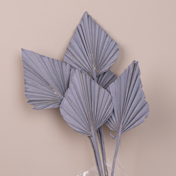 сухоцвет листья пальмы серые (5шт) palm spear