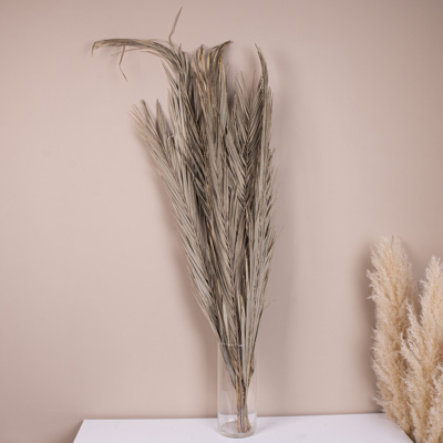 сушены листки пальми date leaves 1м. (10шт) сушены листки пальми date leaves 1м. (10шт)