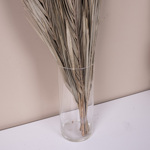 сушеные листья пальмы date leaves 1м. (10шт)