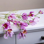 космея декоративная сиреневая