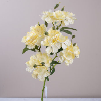 цвет весенний темно-желтый