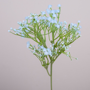 Гіпсофіла декоративна блакитна - Light blue