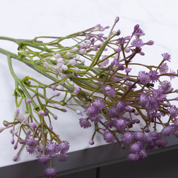 Гипсофила декоративная фиолетовая lavander