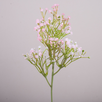 Гипсофила декоративная powder pink