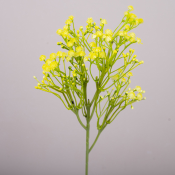 Гіпсофіла декоративна жовта (YELLOW)