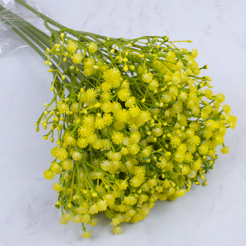 Гіпсофіла декоративна жовта (YELLOW)