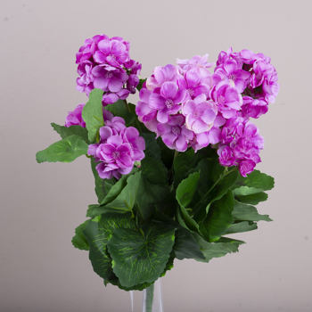букет пеларгонии фиолетовый - VIOLET LT VIOLET