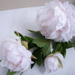 пион искусственный пудровый