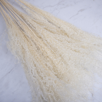 Сушеница трава отбелена