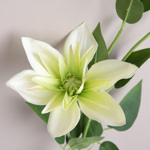 штучний клематис одинарний зелений (green/beauty)