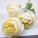 Роза пионовидная тройная желтая