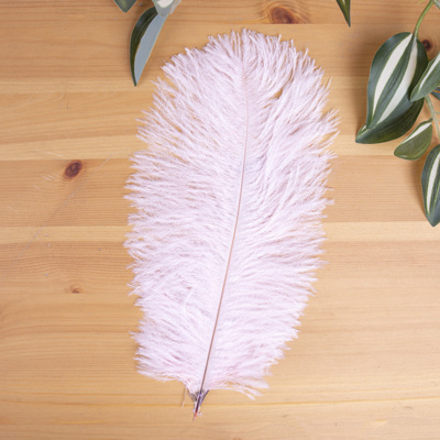 перья страуса натуральные (5 шт) Pink 
