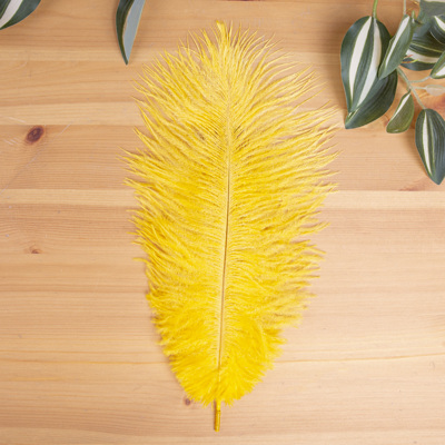 пір'я страуса натуральні (5 шт) Yellow пір'я страуса натуральні (5 шт) Yellow