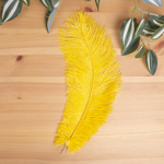 перо страуса натуральное (5 шт) Yellow