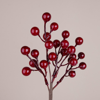 Пучок с красными ягодами