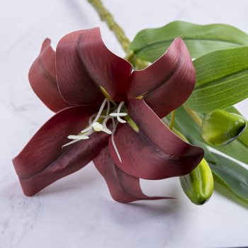 Лилия одиночная латексная бордовая