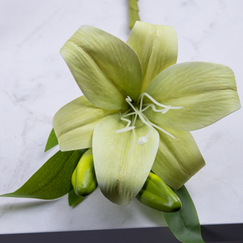 Лилия одиночная латексная зелёная