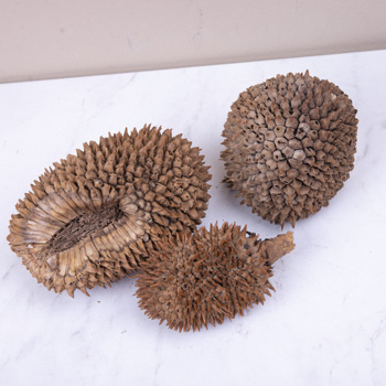 сухоцвіт Jack Fruit натуральний