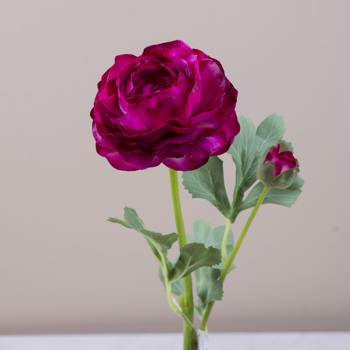 Ранункулюс латексний червоний