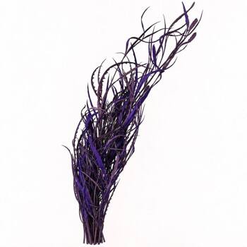 Сухоцвет Гревилея окрашенная Violet