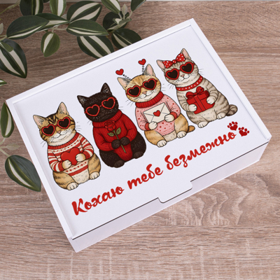Коробка прямокутна 25 см для подарунка котики "Кохаю тебе безмежно"
