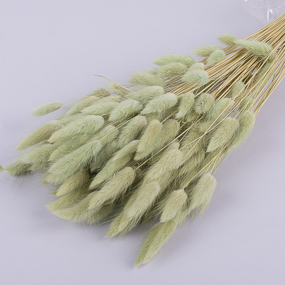 лагурус 70грамм (цвет - Kiwi)