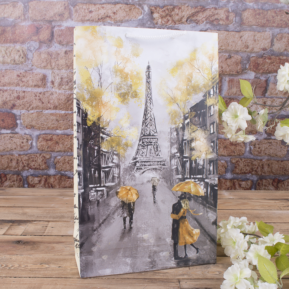 W3-202  пакет 25*40*9  "париж"