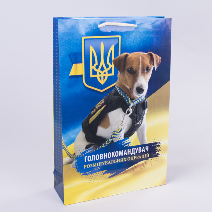 пакет подарочный  25*38*8 "патрон"