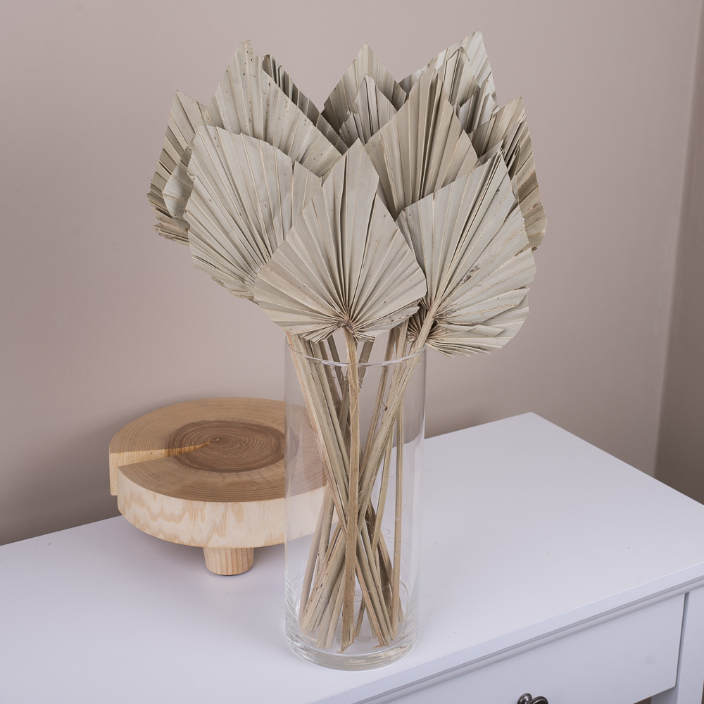 сухоцвет palm натур (20шт)