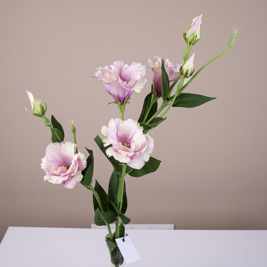 искусственная эустома премиум бело-розовая (powder pink green)