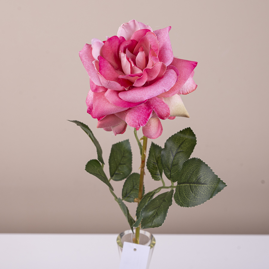 роза оксамитова садова одинарна яскраво-рожева (pink)