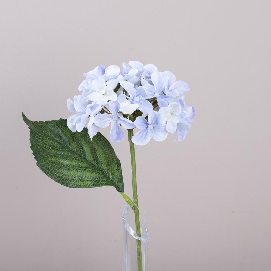 гортензия короткая голубая - powder violet